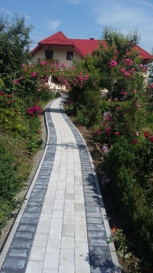 Agropensiunea Florina-Maria Branistea  Exterior photo