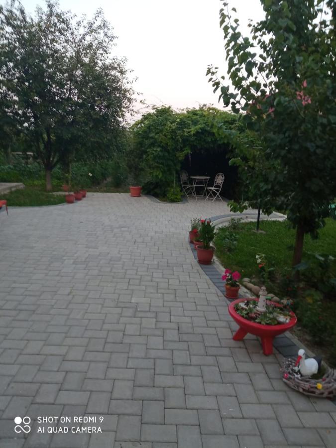 Agropensiunea Florina-Maria Branistea  Exterior photo