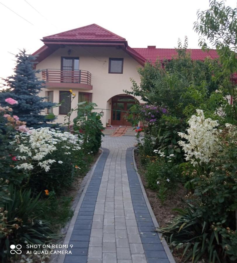 Agropensiunea Florina-Maria Branistea  Exterior photo