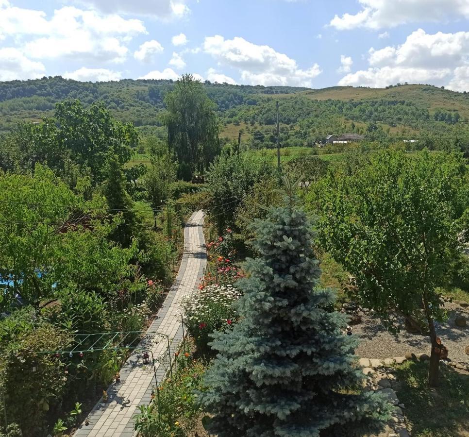 Agropensiunea Florina-Maria Branistea  Exterior photo