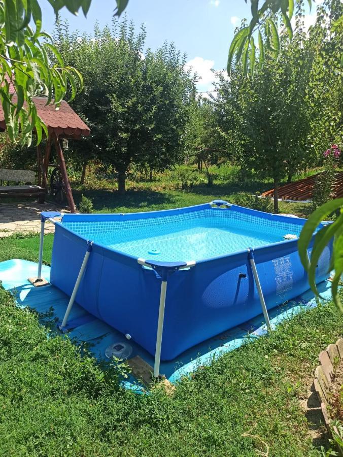 Agropensiunea Florina-Maria Branistea  Exterior photo